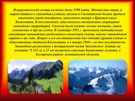 Заповедники Казахстана, слайд 13