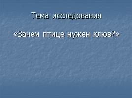 Зачем птице клюв?, слайд 2