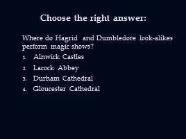 Hogwarts School, слайд 21