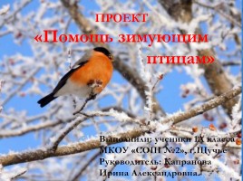Проект «Помощь зимующим птицам», слайд 1