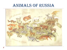 Animals of Russia, слайд 1