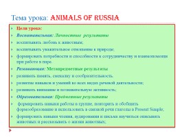 Animals of Russia, слайд 2