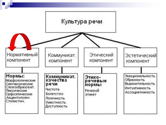 Культура Речи В Современном Мире Реферат