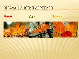 Игра для 1 класса «Осенний Петербург», слайд 11