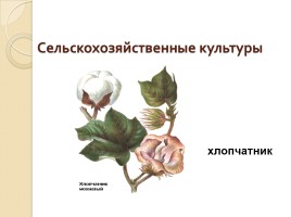 Природа и люди Древней Индии, слайд 18