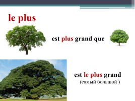 Степени сравнения прилагательных - Degrés de comparaison des adjectifs, слайд 5