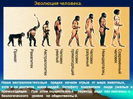 Эволюция человека, слайд 27