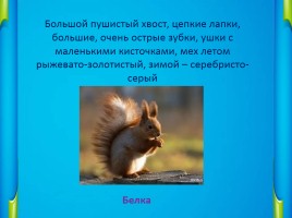 Викторина о животных «Узнай зверя по описанию», слайд 2