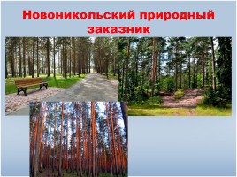 Компании и предприятия Альметьевского района, слайд 14