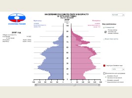 Анализ половозрастной пирамиды, слайд 12