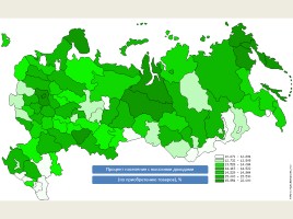 Анализ половозрастной пирамиды, слайд 19