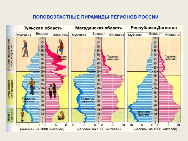 Презентация - Анализ половозрастной пирамиды