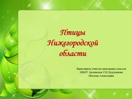 Птицы Нижегородской области, слайд 1