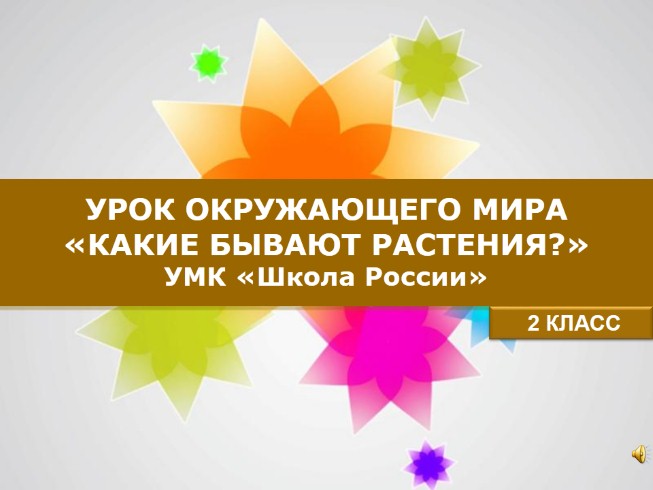 Урок окружающего мира 2 класс «Какие бывают растения»