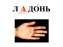КВН по русскому языку в 5-6 классах коррекционной школы, слайд 12