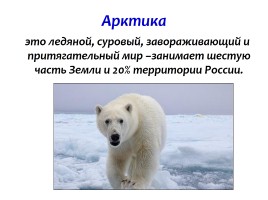 Загадочная Арктика, слайд 2