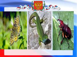 20 января - День Республики Крым, слайд 19