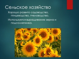 Ставропольский край, слайд 8