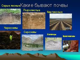 Почва и ее свойства, слайд 32