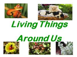 Living things around us, слайд 1
