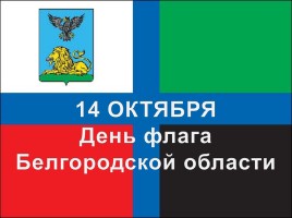 День флага Белгородской области, слайд 19