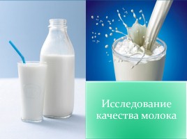 Исследование качества молока, слайд 1