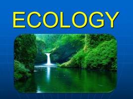 Ecology, слайд 1