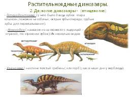 Причины вымирания динозавров, слайд 13