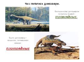 Причины вымирания динозавров, слайд 8