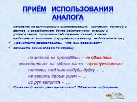 Организация учебно-исследовательской работы на уроках русского языка, слайд 6