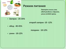 Экология питания, слайд 12