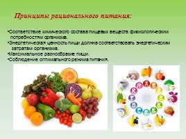 Экология питания, слайд 5