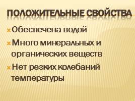 Кто живет в почве 3 кл, слайд 4