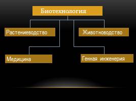 Успехи современной биотехнологии, слайд 6
