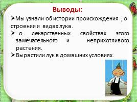 Проектная работа «Лук от семи недуг», слайд 26