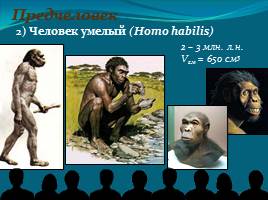 Место и роль человека в системе органического мира - Эволюция человека, слайд 12