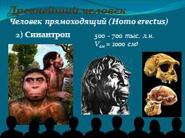 Место и роль человека в системе органического мира - Эволюция человека, слайд 14