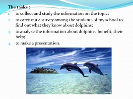 Проект «Дельфины» - Subject «Dolphins are the most mysterious animals on the planet», слайд 3