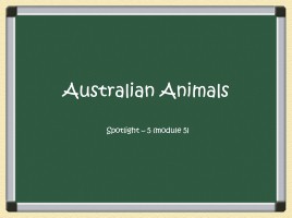 Австралийские животные - Australian Animals, слайд 1