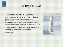 Баргузинский заповедник, слайд 22