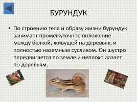Баргузинский заповедник, слайд 28