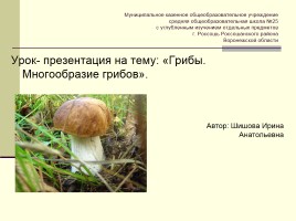 Грибы - Многообразие грибов, слайд 1