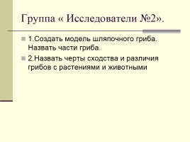 Грибы - Многообразие грибов, слайд 14