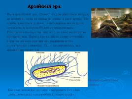 Происхождение и развитие жизни, слайд 5