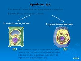 Происхождение и развитие жизни, слайд 6