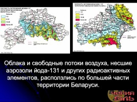 Классный час «Чернобыль», слайд 14