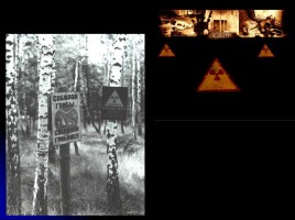 Классный час «Чернобыль», слайд 28