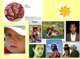 Открытый урок по теме «Строение и значение кожи - Гигиена кожи», слайд 20