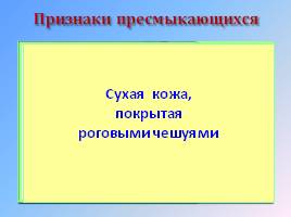 Окружающий мир 1 класс «Насекомые, птицы, рыбы, звери», слайд 25