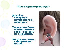 Органы слуха, слайд 3